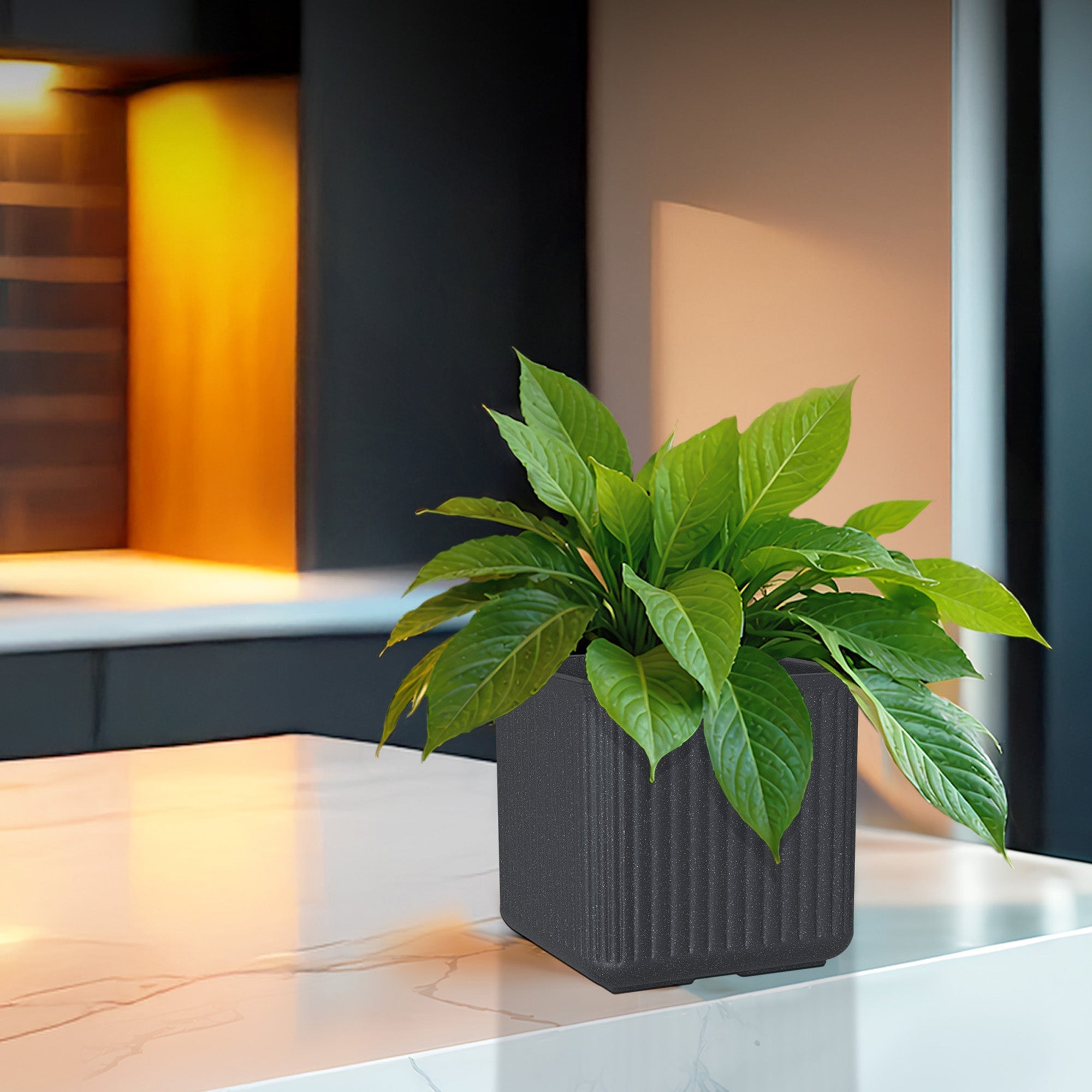 The Secret to Growing Plants Indoors Successfully