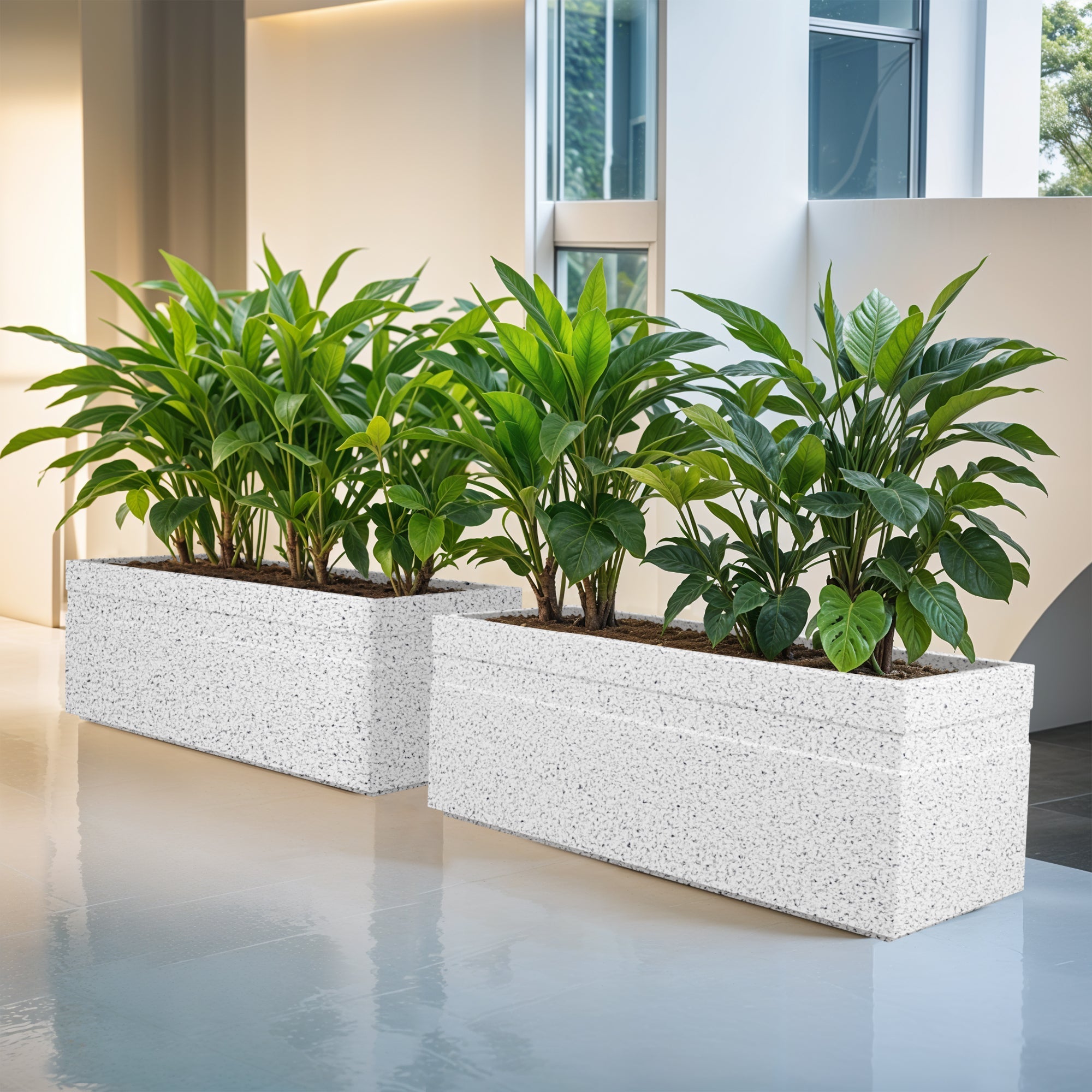 How to Maintain Decorative Planters for Long-Lasting Beauty