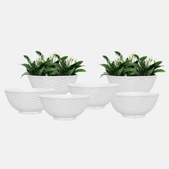 SHERA | CHICK KTR Planter