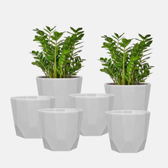 SHERA | HEXA Planter