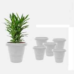 SHERA | SD Planter