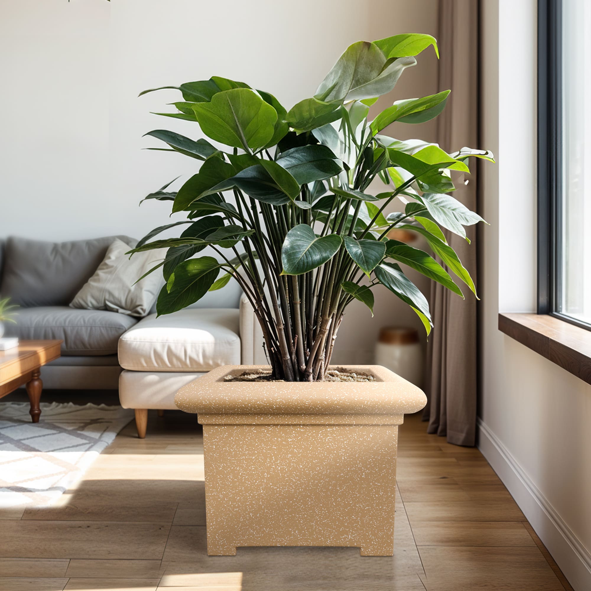 Yuccabe Italia - Online Planters & Pot Store India - Home | Garden