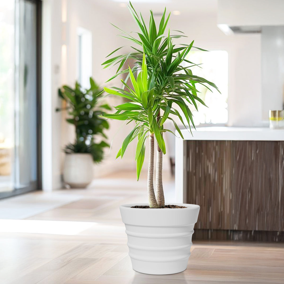 FOX B | BR PLANTER