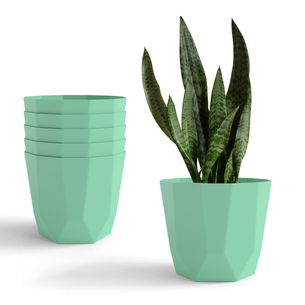 SHERA | HEXA PLANTER