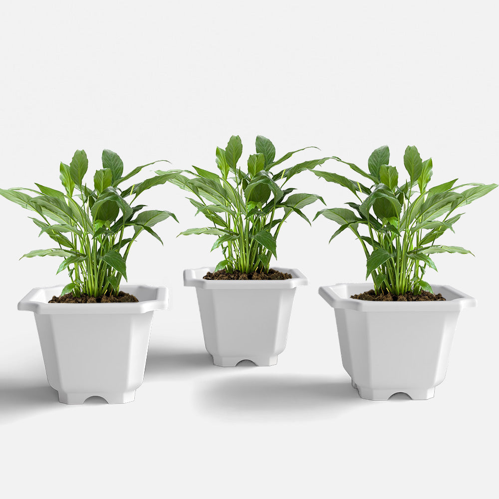 SHERA | OCTA PLANTER SET OF 3