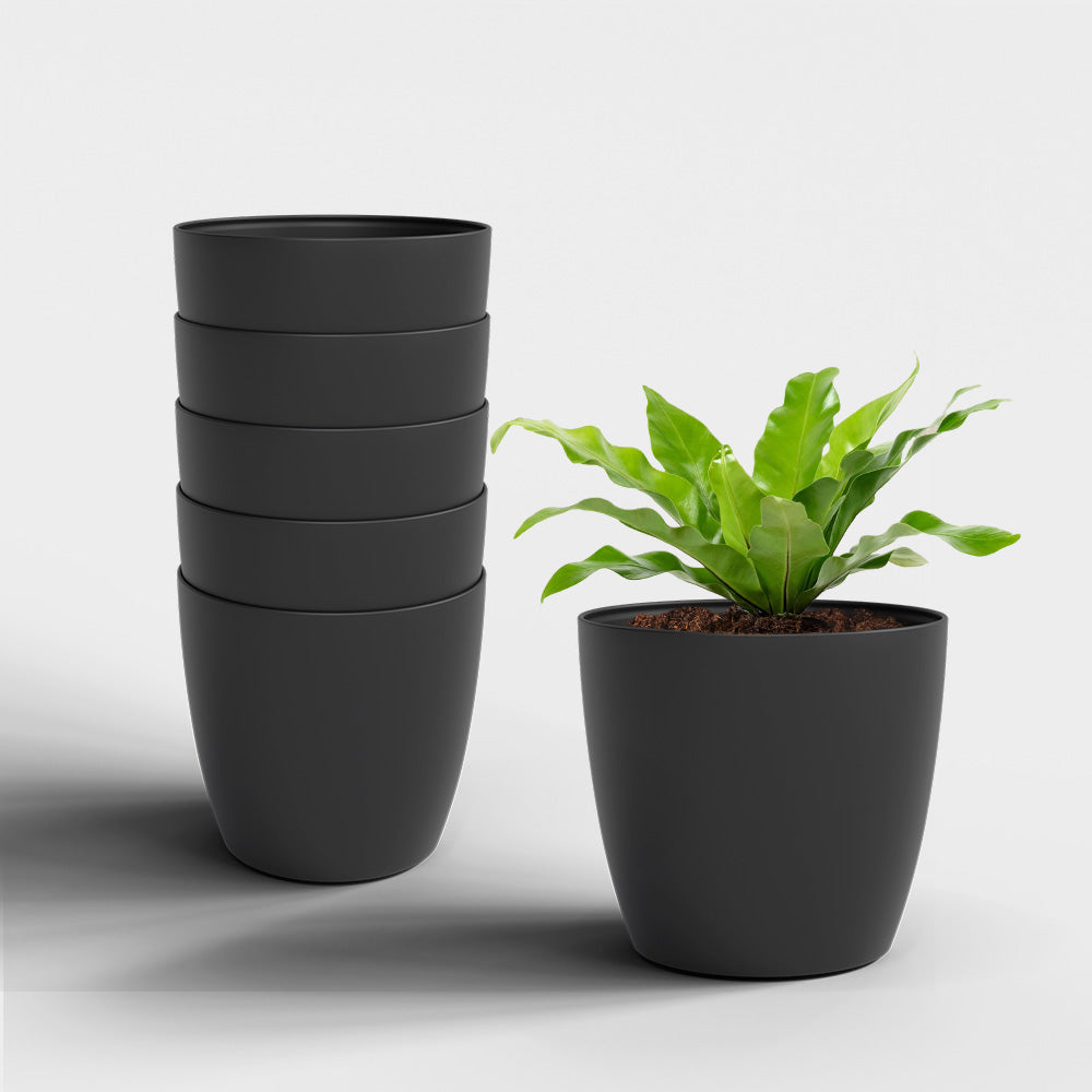 SHERA | STELLA PLANTER