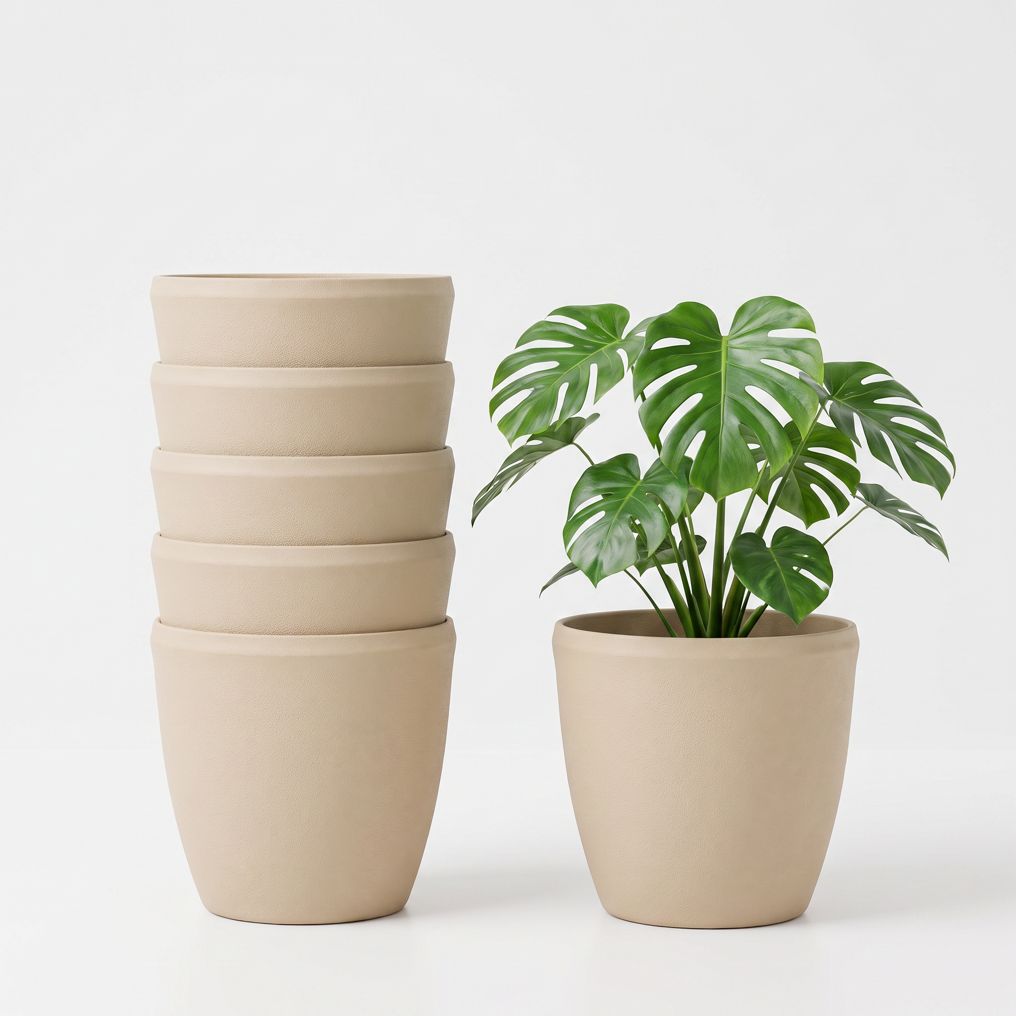 SHERA | STELLA E PLANTER