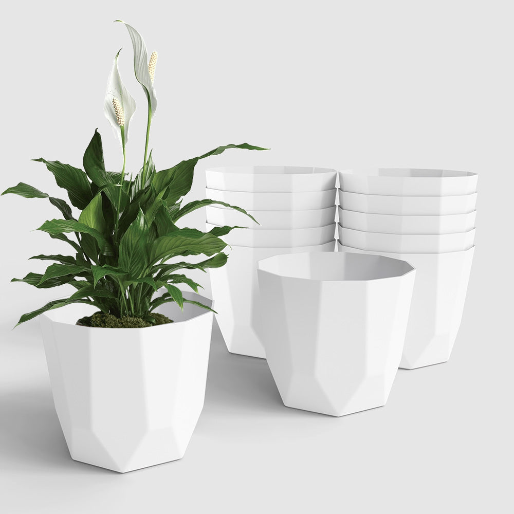 SHERA | HEXA PLANTER