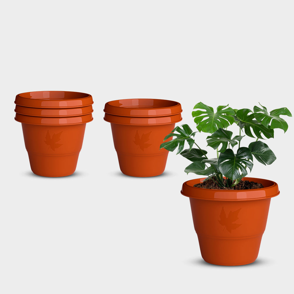 SHERA | RD PLANTER
