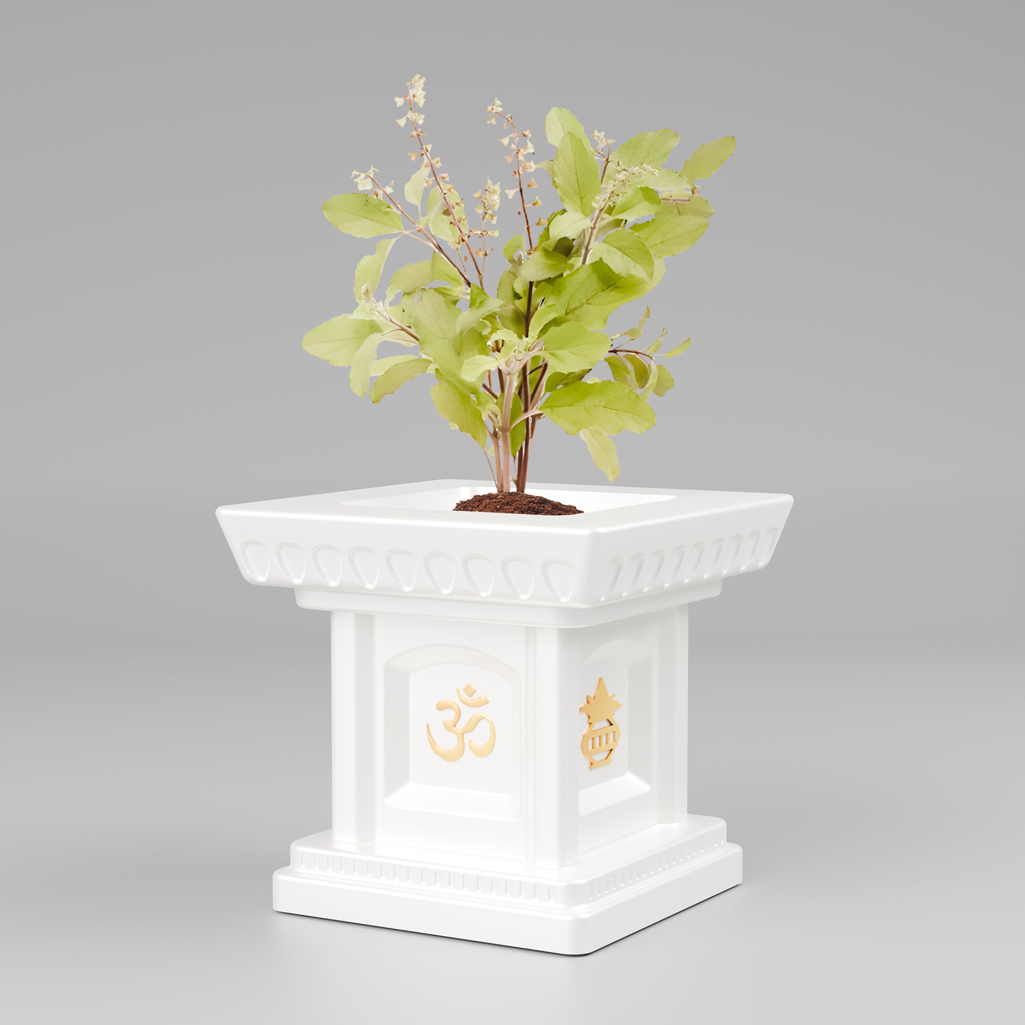 FOX B | TULSI PLANTER