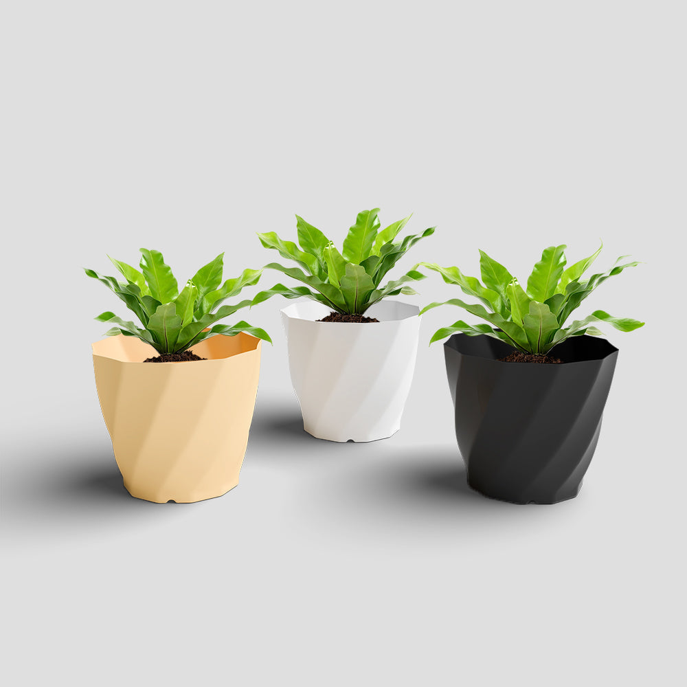 SHERA | SWIRL PLANTER