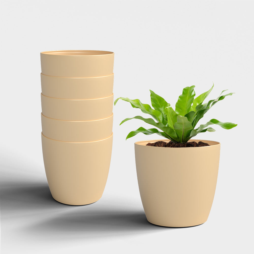 SHERA | STELLA PLANTER