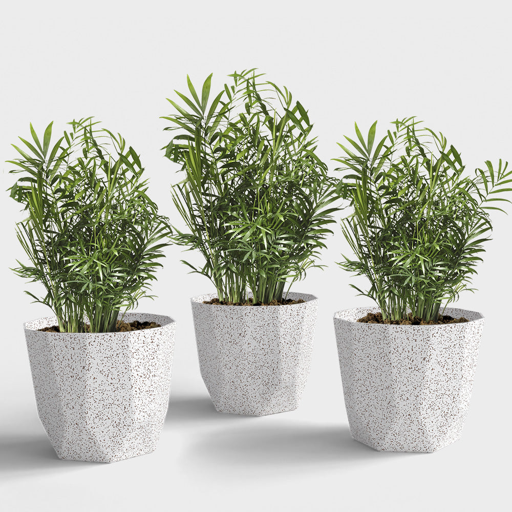SHERA | HEXA PLANTER