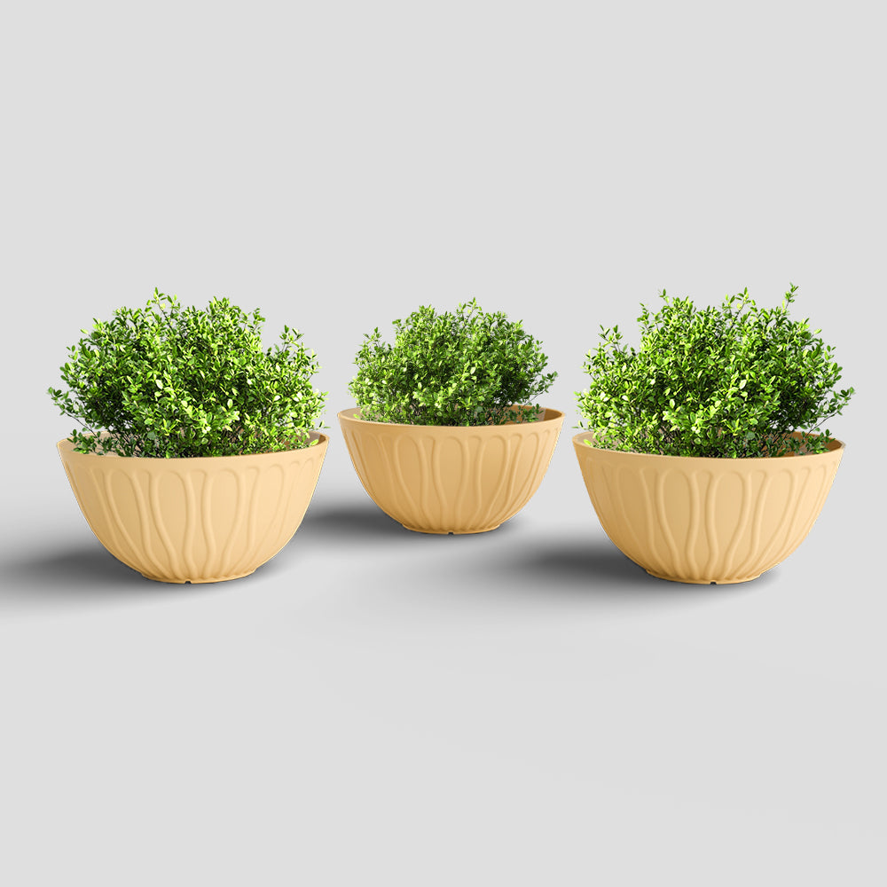 SHERA | WAVE KTR PLANTER