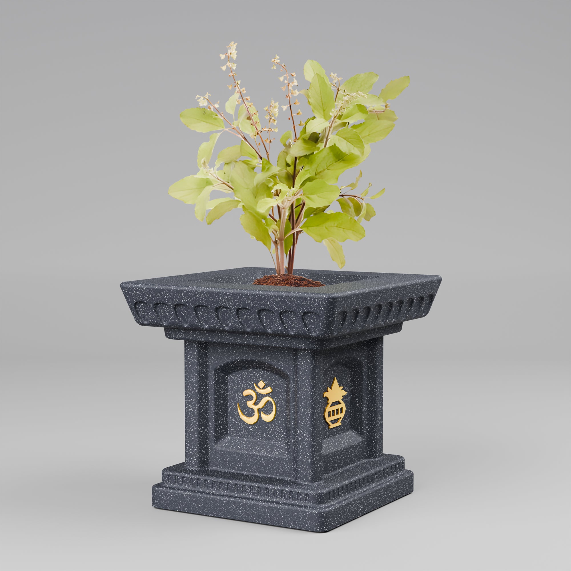FOX B | TULSI PLANTER