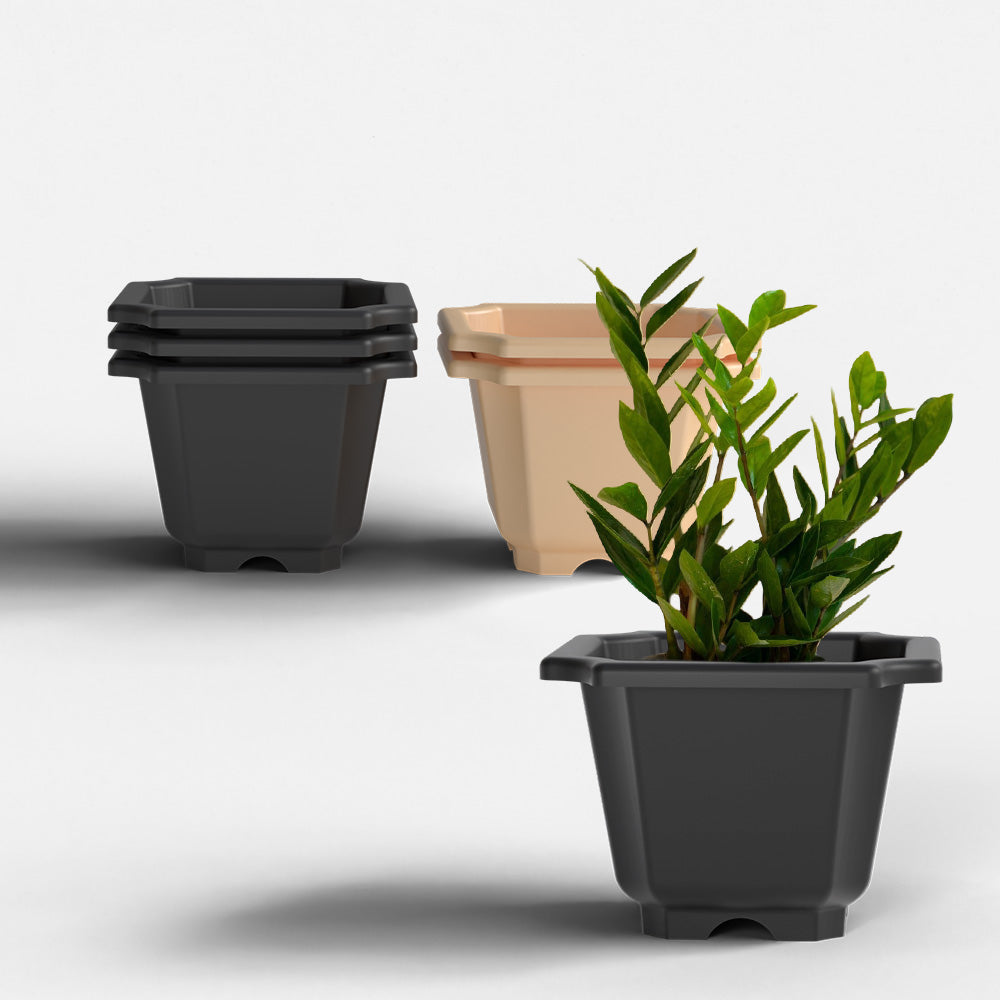 SHERA | OCTA PLANTER SET OF 6