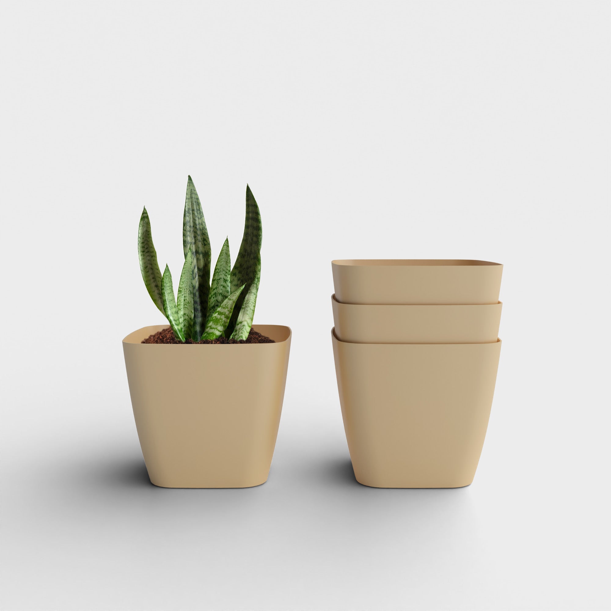 SHERA | STOIC PLANTER