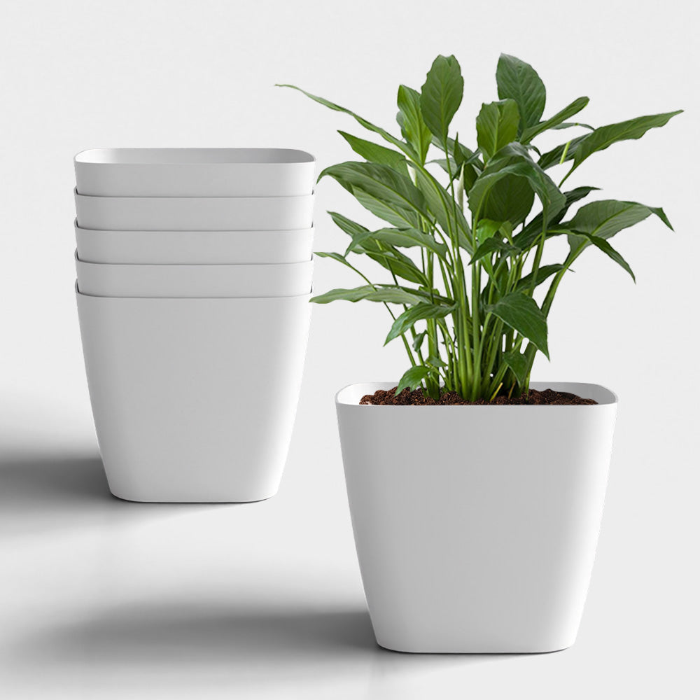SHERA | STOIC PLANTER