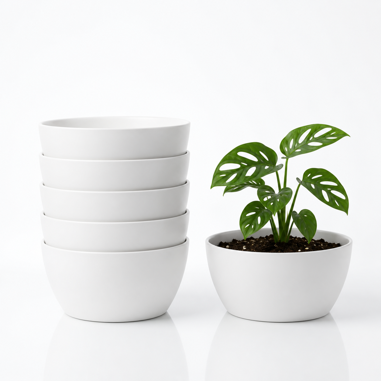 SHERA | STELLA K PLANTER