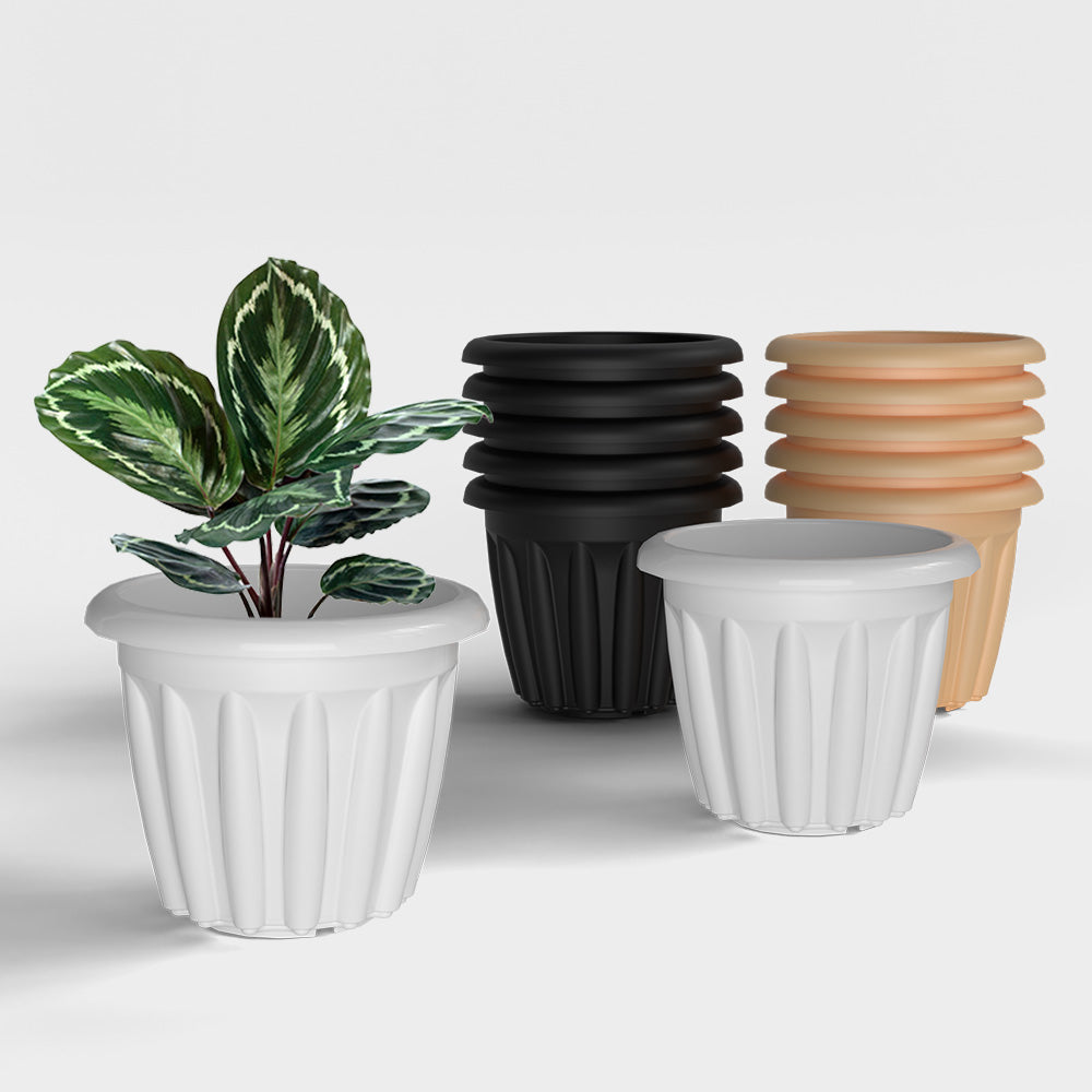 SHERA | FLOOT PLANTER