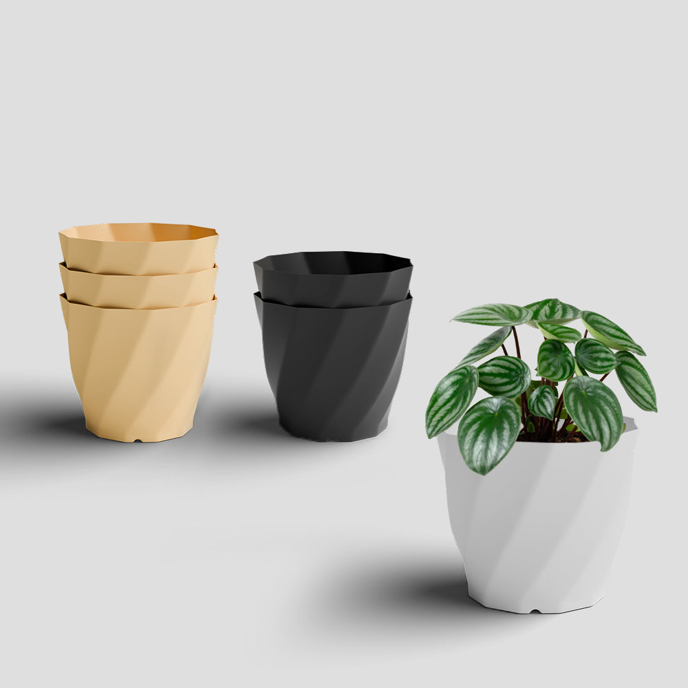 SHERA | SWIRL PLANTER