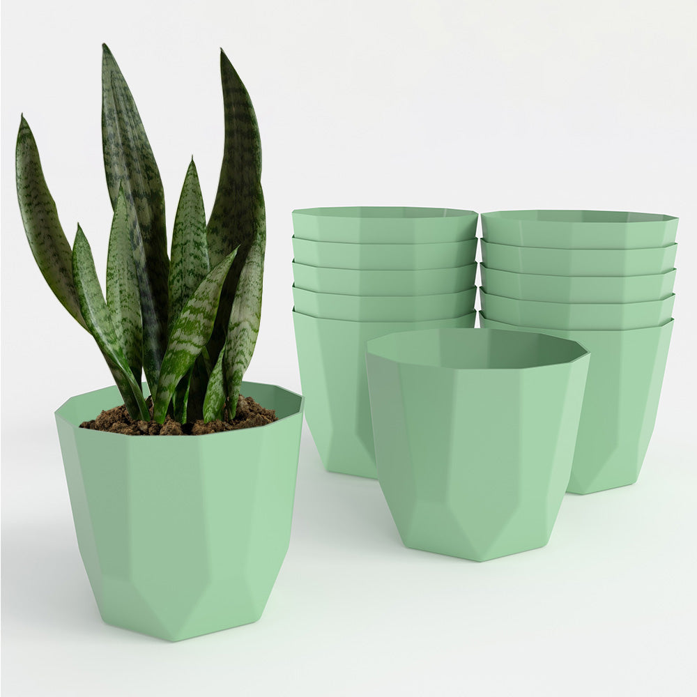 SHERA | HEXA PLANTER