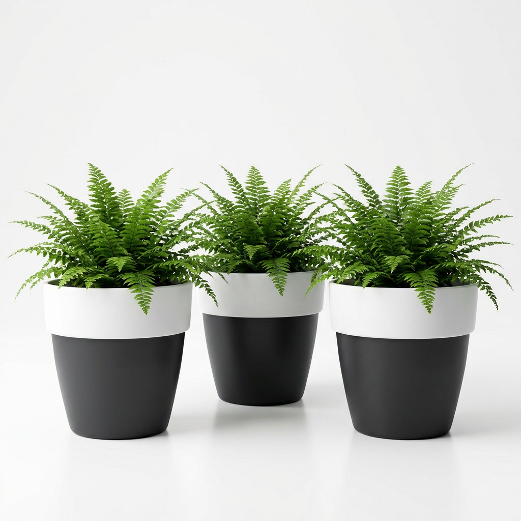 SHERA | VETA PLANTER