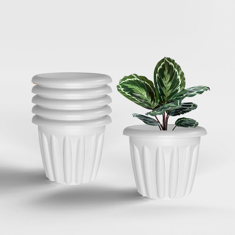 SHERA | FLOOT PLANTER