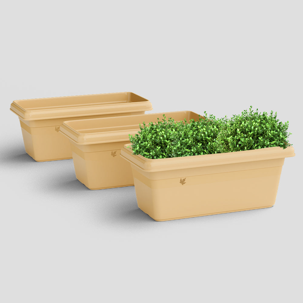 SHERA | TP PLANTER