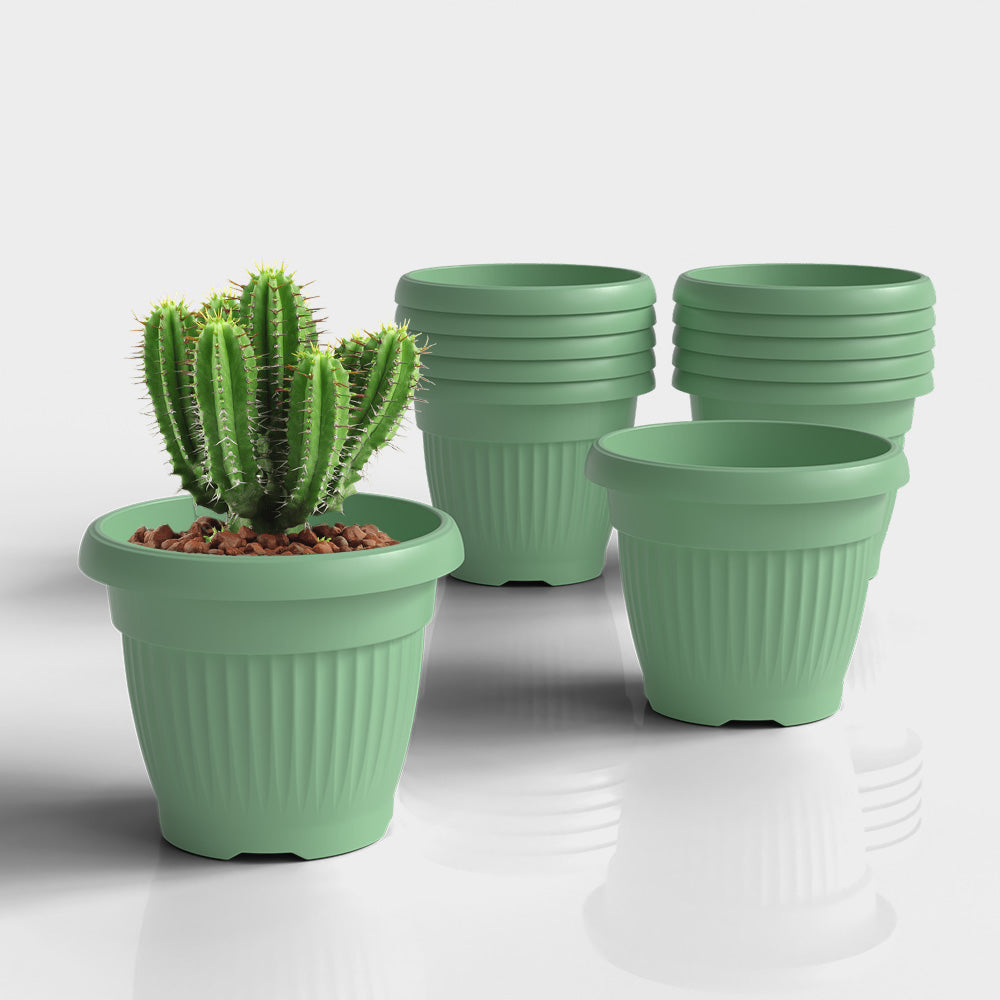 SHERA | BLOOM PLANTER