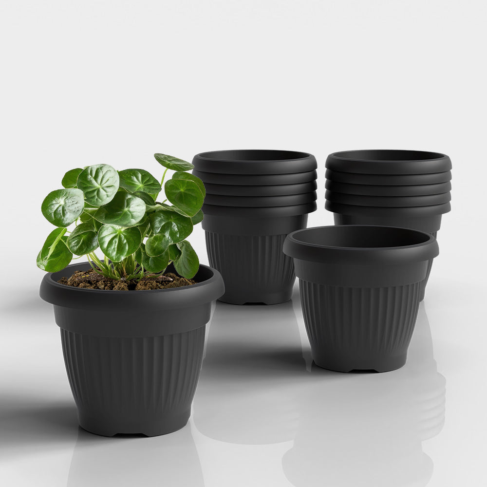 SHERA | BLOOM PLANTER