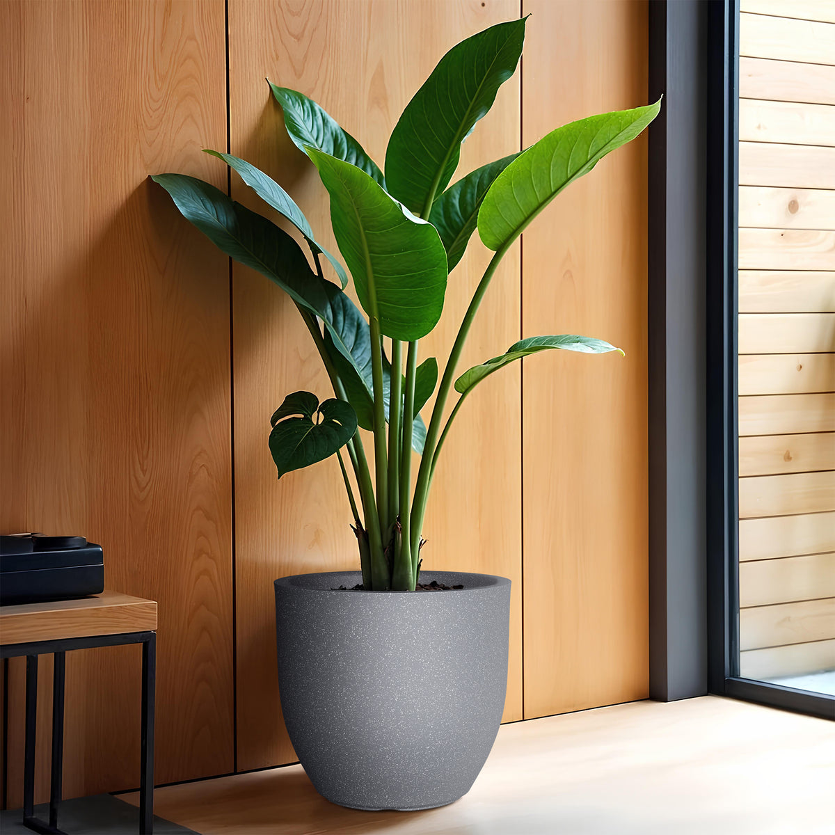FOX B | P CUP PLANTER 6 INCH TO 15 INCH