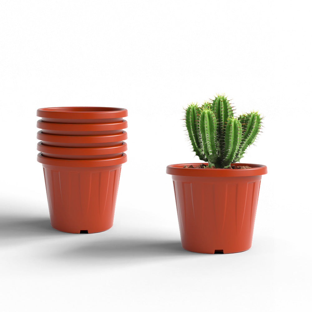SHERA | CROWN PLANTER