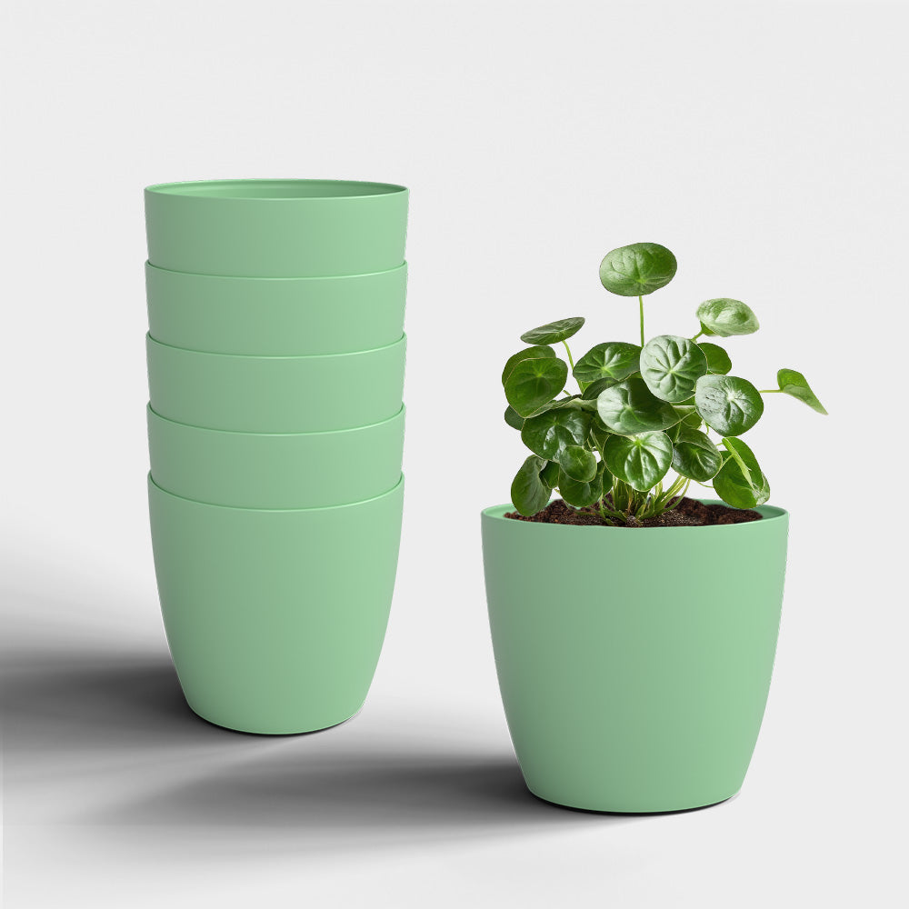 SHERA | STELLA PLANTER