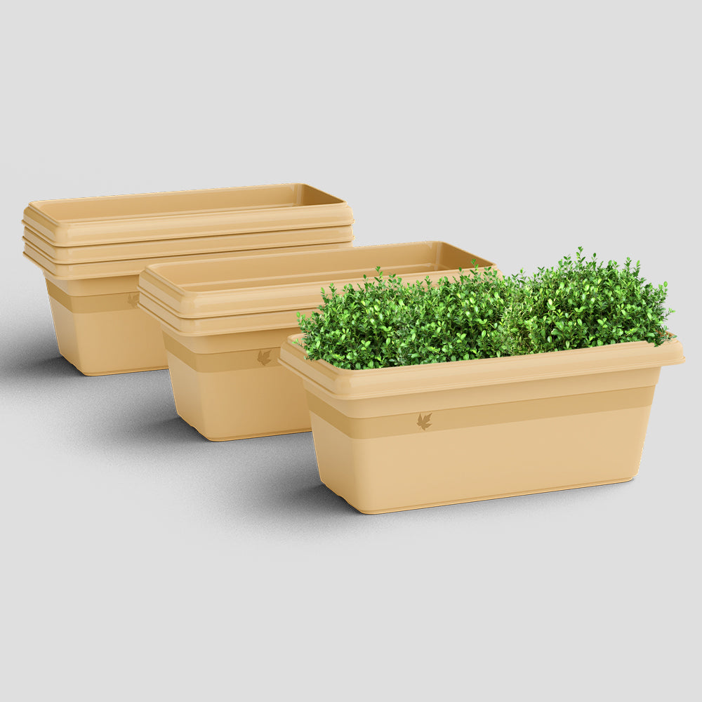 SHERA | TP PLANTER