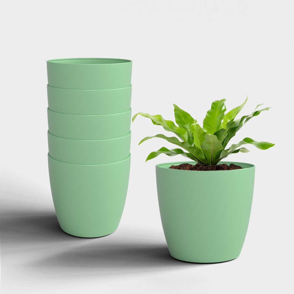 SHERA | STELLA PLANTER
