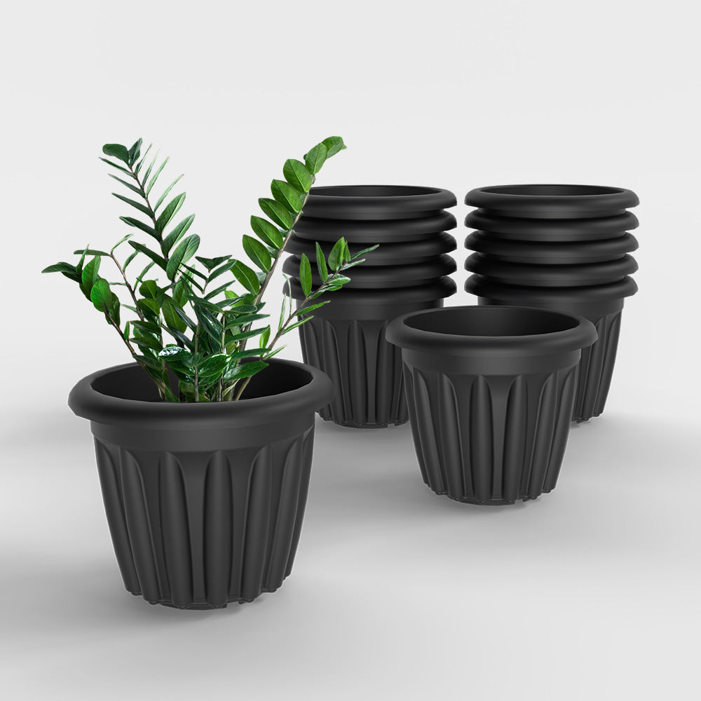 SHERA | FLOOT PLANTER