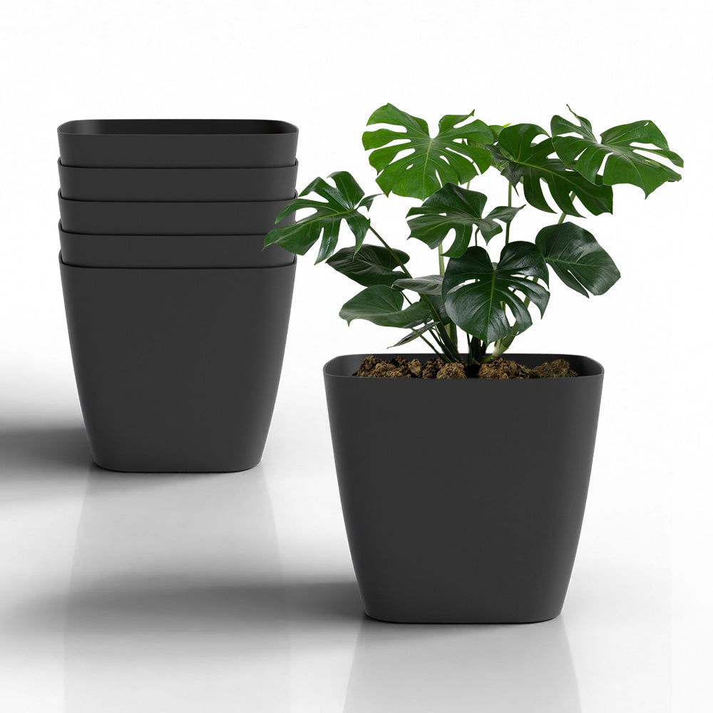 SHERA | STOIC PLANTER