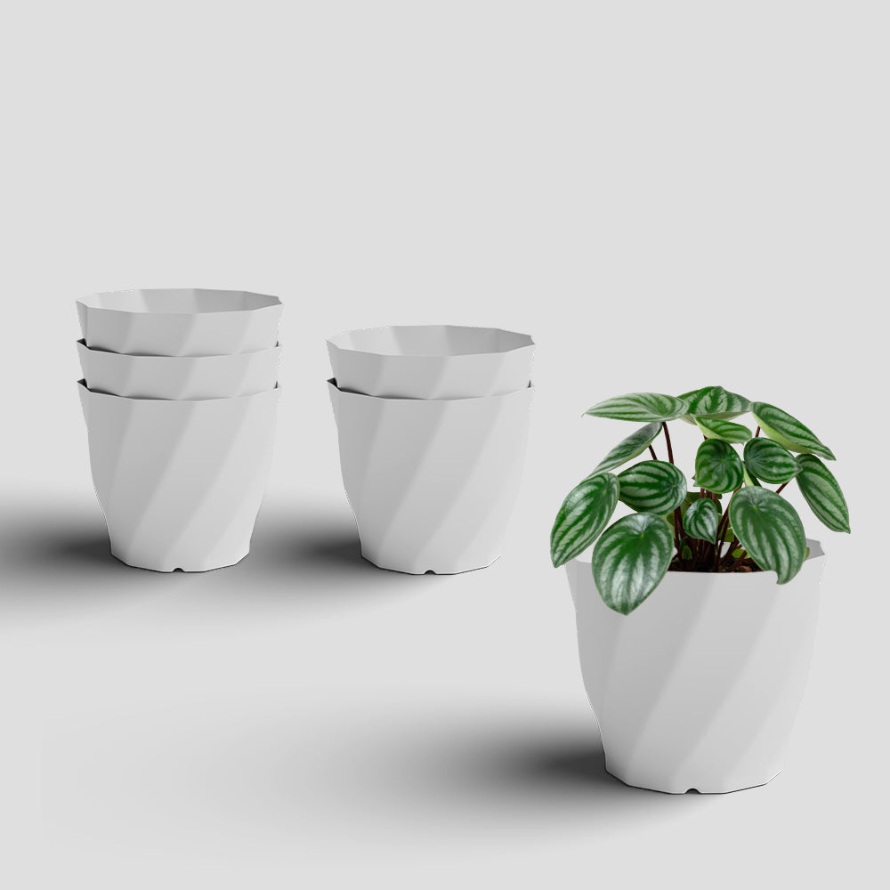 SHERA | SWIRL PLANTER