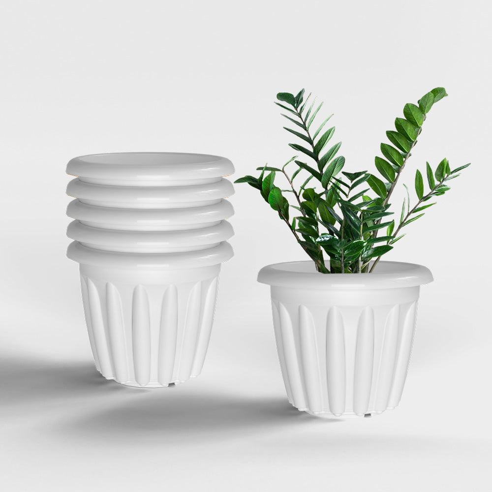 SHERA | FLOOT PLANTER