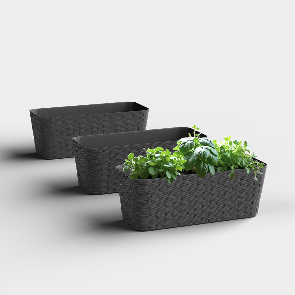 SHERA | RATTAN TRAY