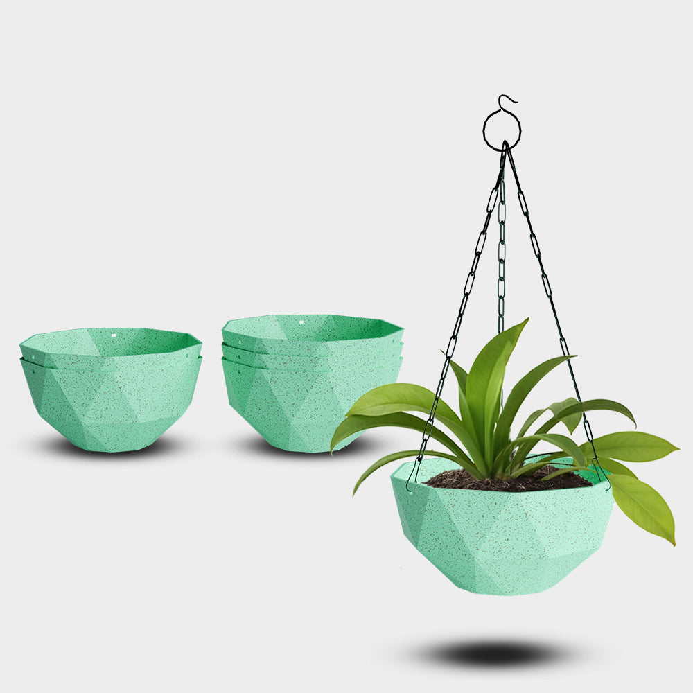 SHERA | DMD KTR BIO HANGING