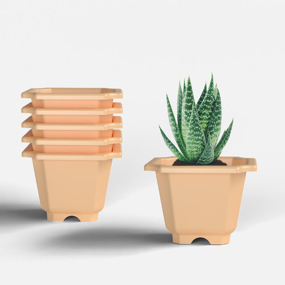 SHERA | OCTA PLANTER SET OF 6