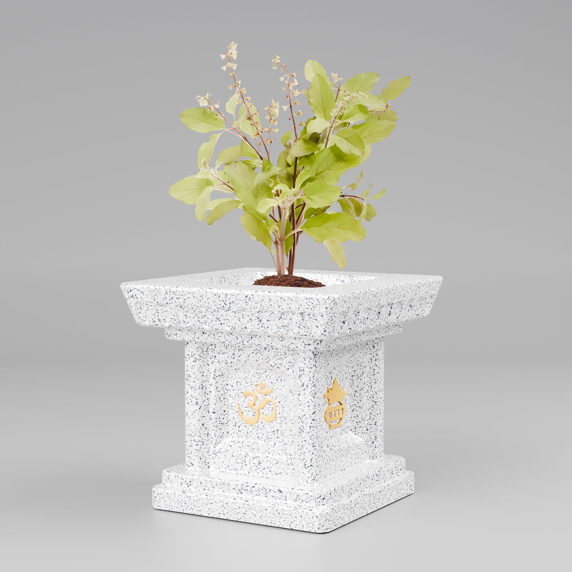 FOX B | TULSI PLANTER
