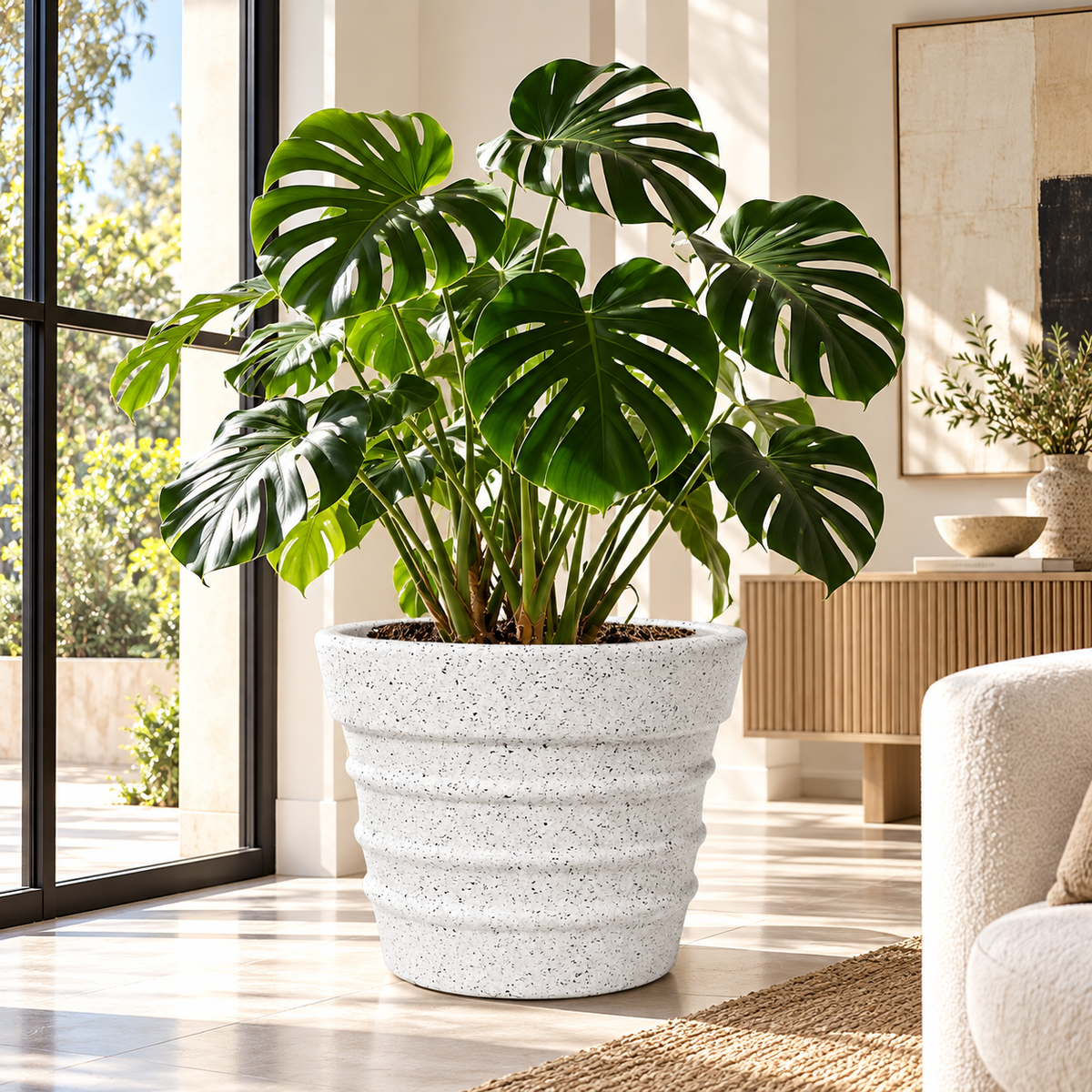 FOX B | BR PLANTER