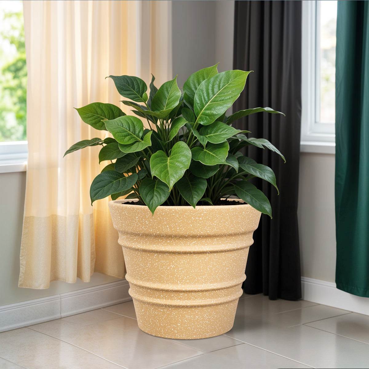 FOX B | BR PLANTER