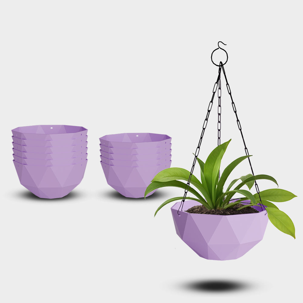 SHERA | DMD KTR HANGING