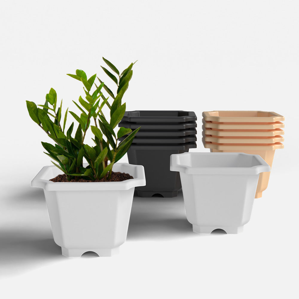 SHERA | OCTA PLANTER SET OF 12