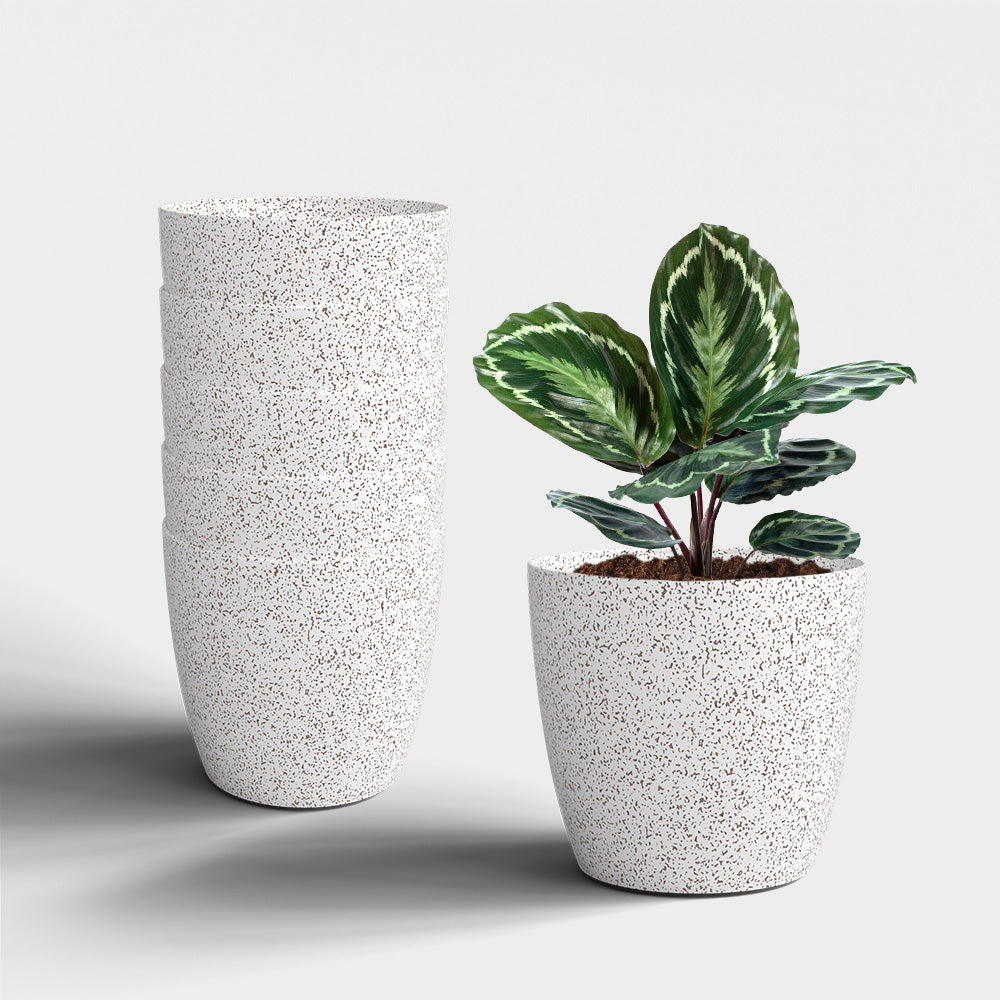 SHERA | STELLA PLANTER