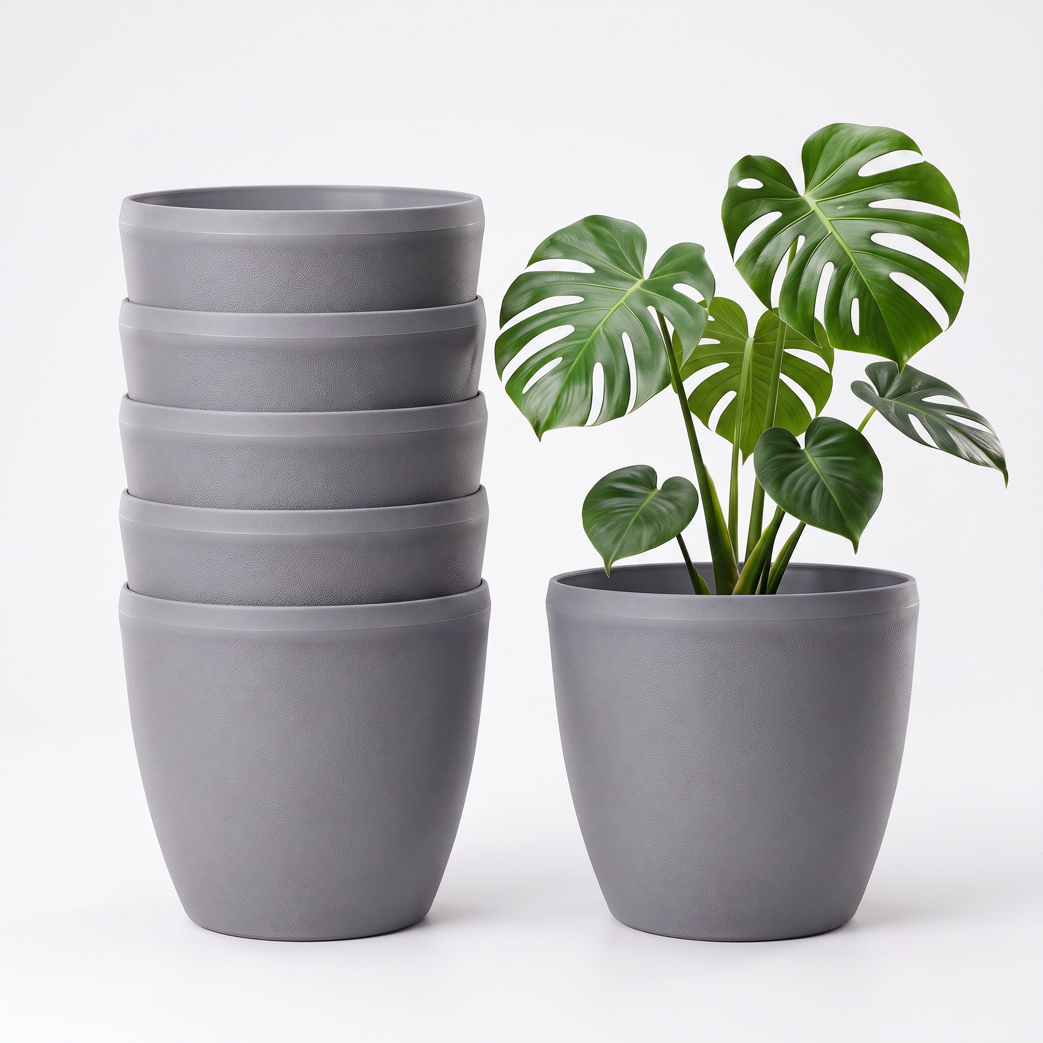 SHERA | STELLA E PLANTER